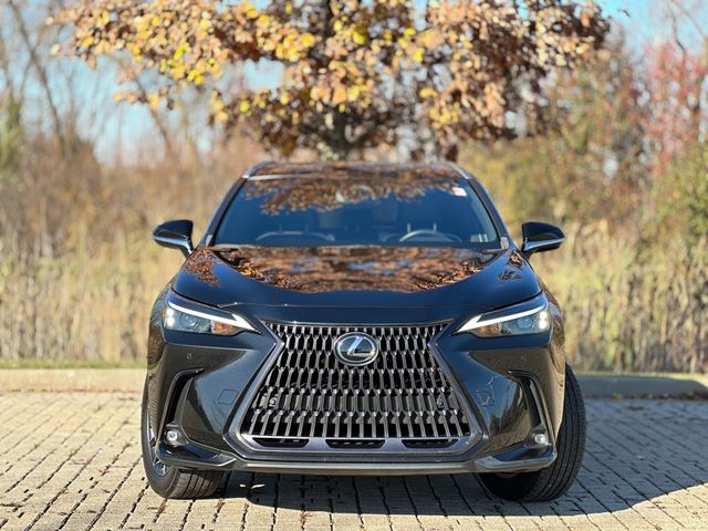 2022 Lexus NX 350 Premium