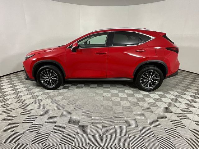 2022 Lexus NX 350 Premium