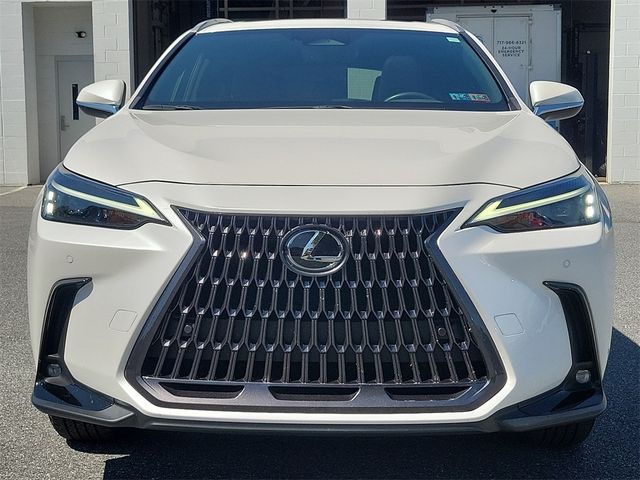 2022 Lexus NX 350 Premium