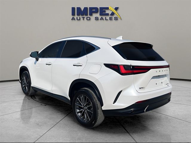 2022 Lexus NX 350 Premium