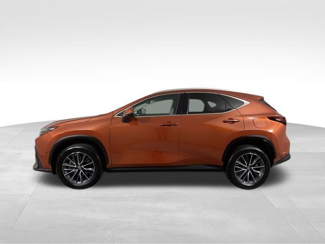 2022 Lexus NX 350 Premium