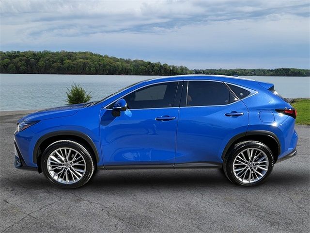 2022 Lexus NX 350 Premium