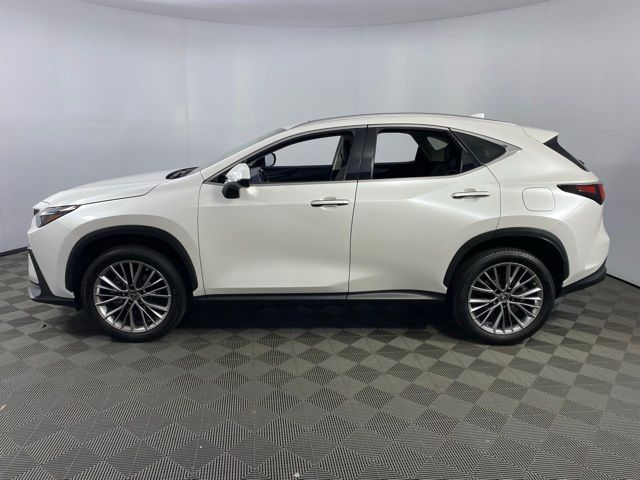 2022 Lexus NX 350 Premium