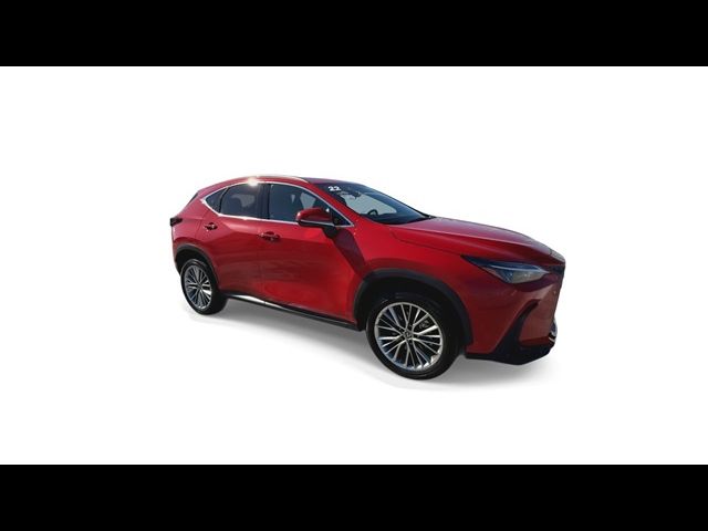 2022 Lexus NX 350 Premium