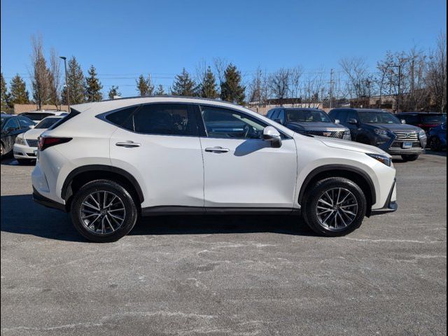 2022 Lexus NX 350 Premium