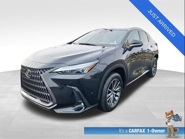 2022 Lexus NX 350 Premium