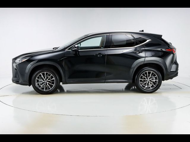 2022 Lexus NX 350 Premium