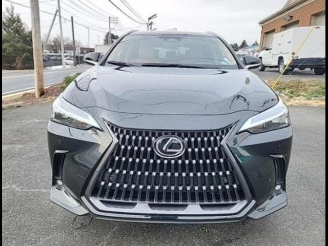 2022 Lexus NX 350 Premium