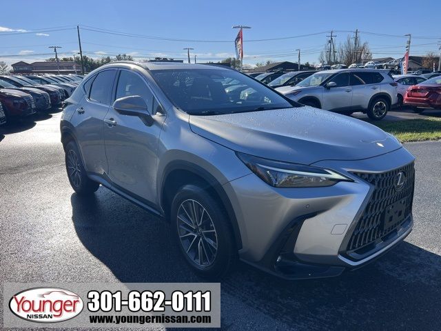 2022 Lexus NX 350 Premium