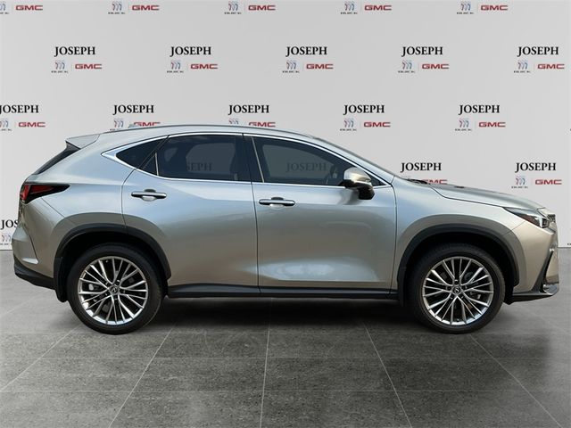 2022 Lexus NX 350 Premium