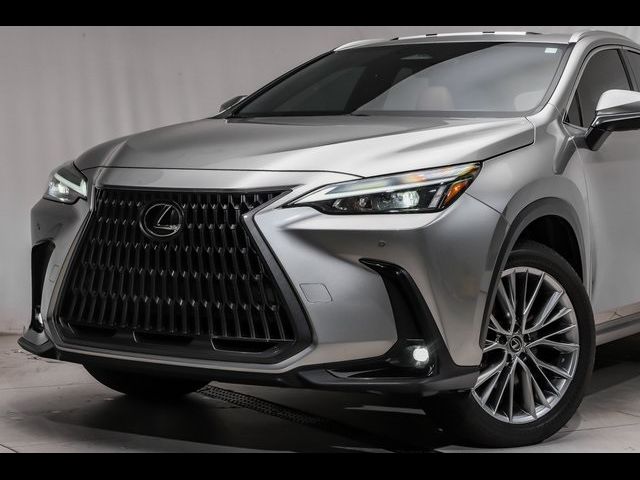 2022 Lexus NX 350 Premium