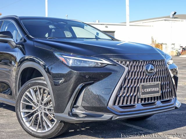 2022 Lexus NX 350 Premium