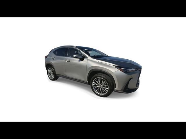 2022 Lexus NX 350 Premium