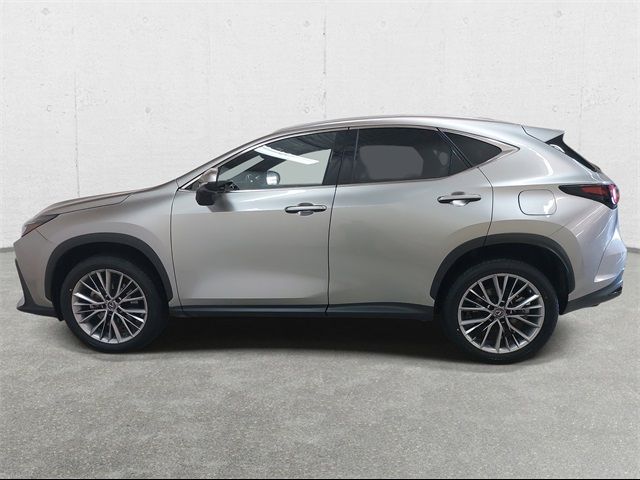 2022 Lexus NX 350 Premium