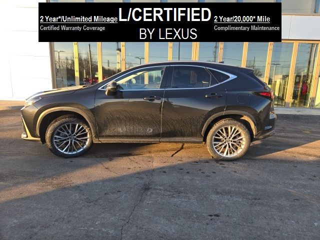 2022 Lexus NX 350 Premium