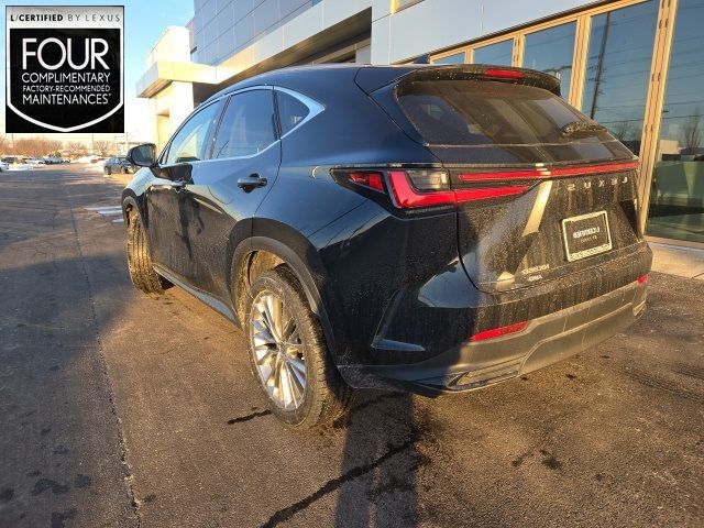 2022 Lexus NX 350 Premium