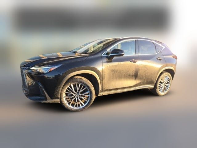 2022 Lexus NX 350 Premium