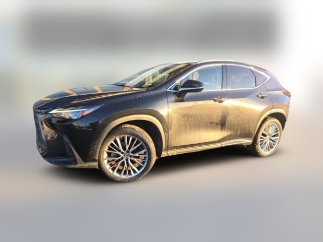 2022 Lexus NX 350 Premium