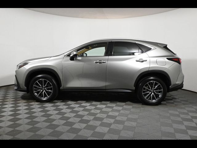 2022 Lexus NX 350 Premium