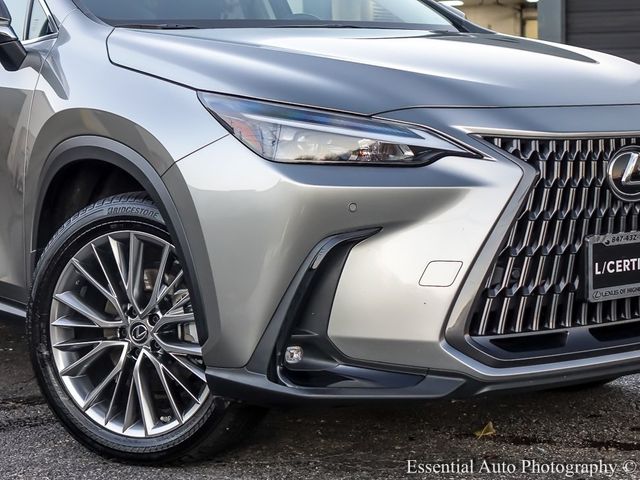 2022 Lexus NX 350 Premium