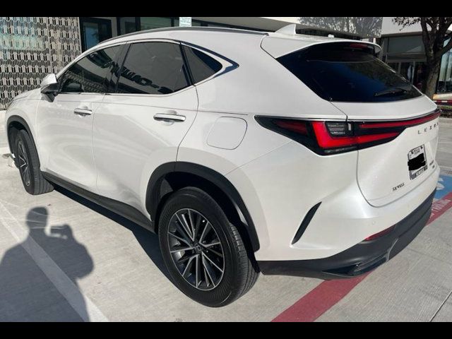 2022 Lexus NX 350 Premium