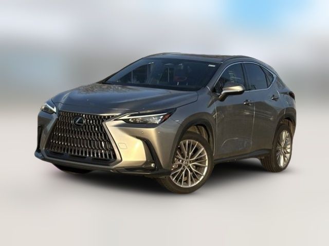 2022 Lexus NX 350 Premium