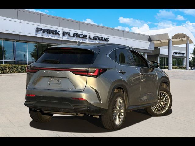 2022 Lexus NX 350 Premium