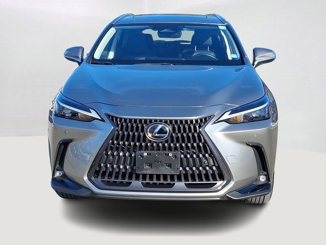 2022 Lexus NX 350 Premium