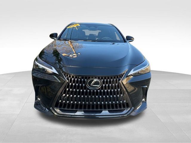 2022 Lexus NX 350 Premium