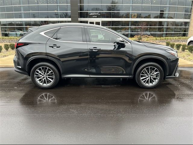 2022 Lexus NX 350 Premium