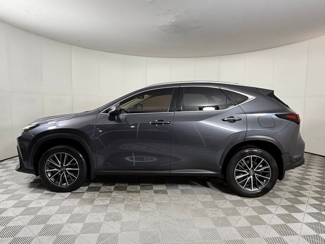 2022 Lexus NX 350 Premium