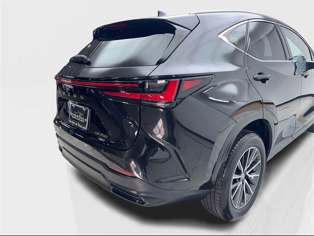 2022 Lexus NX 350 Premium