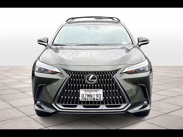 2022 Lexus NX 350h