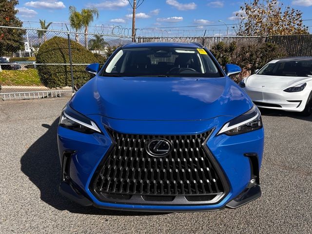 2022 Lexus NX 350h