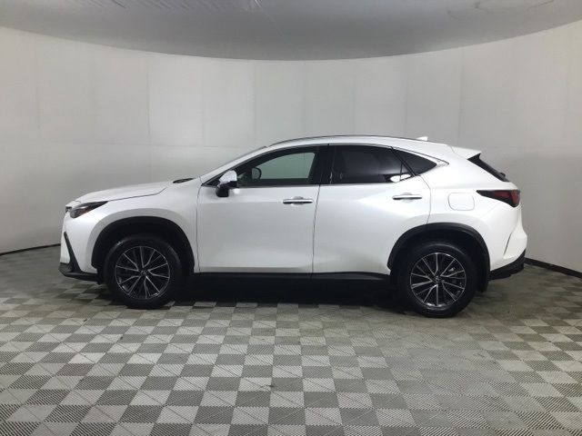 2022 Lexus NX 350h