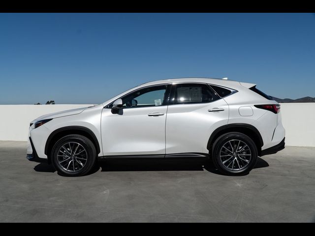 2022 Lexus NX 350h