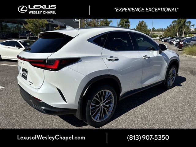 2022 Lexus NX 350h Luxury