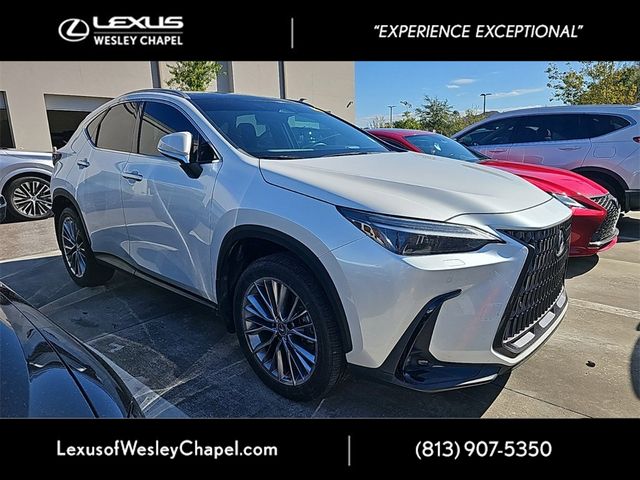 2022 Lexus NX 350h Luxury