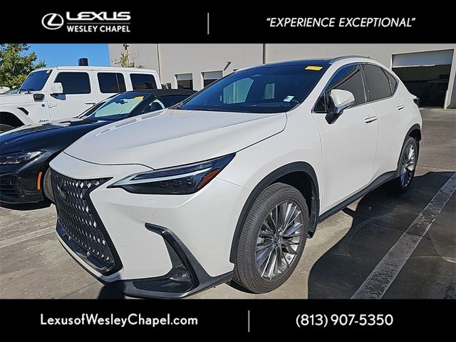 2022 Lexus NX 350h Luxury