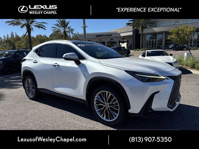 2022 Lexus NX 350h Luxury