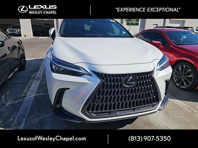 2022 Lexus NX 350h Luxury