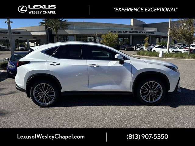 2022 Lexus NX 350h Luxury