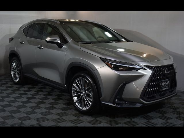 2022 Lexus NX 350h Luxury