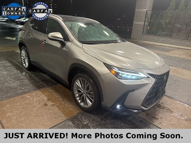 2022 Lexus NX 350h Luxury