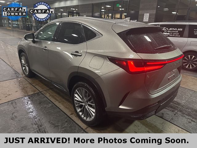 2022 Lexus NX 350h Luxury