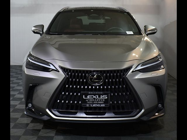 2022 Lexus NX 350h Luxury