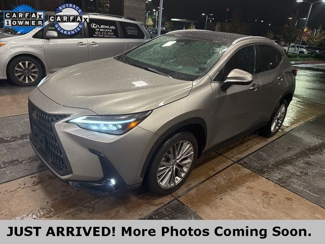 2022 Lexus NX 350h Luxury