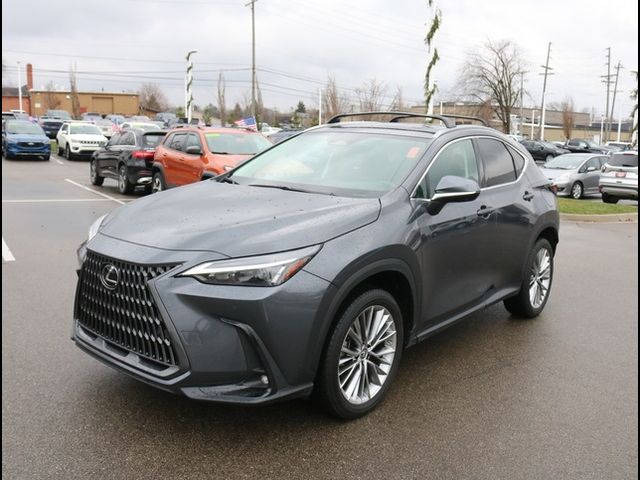 2022 Lexus NX 350h Luxury