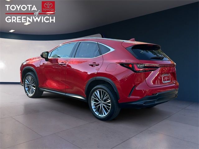 2022 Lexus NX 350h Luxury