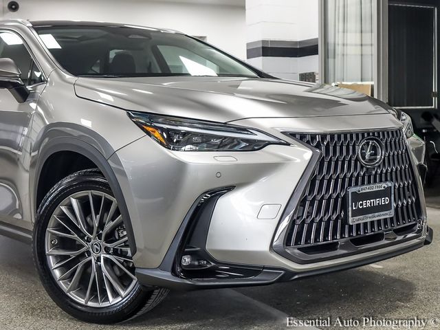 2022 Lexus NX 350h Luxury